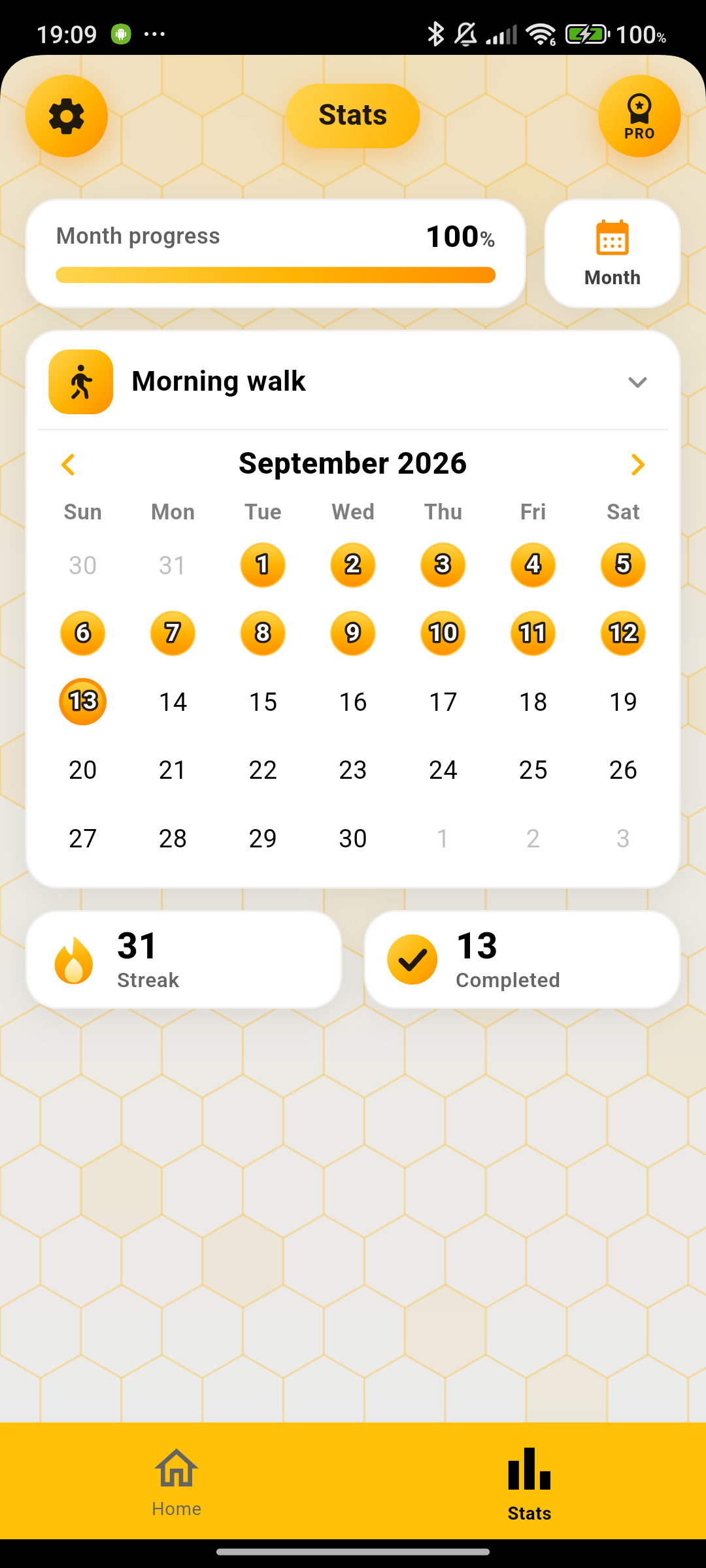 Statistics with month calendar and streak counters